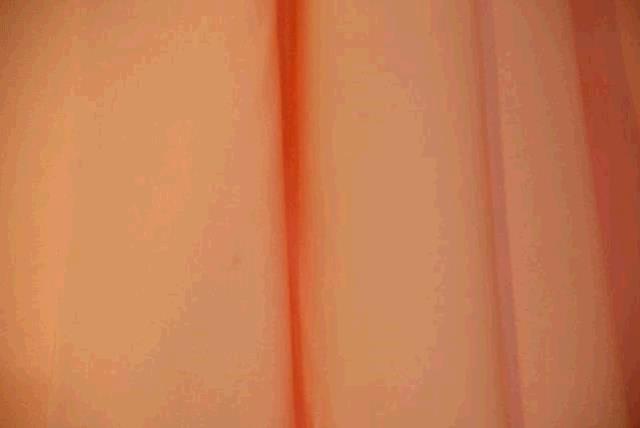 Rental store for 88  X 154  PEACH LINEN in Murfreesboro TN