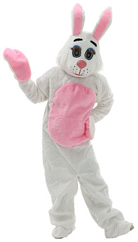 Rental store for BUNNY COSTUME in Murfreesboro TN